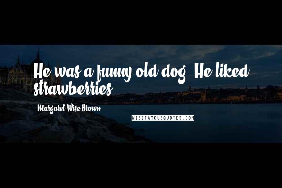 Margaret Wise Brown Quotes: He was a funny old dog. He liked strawberries.