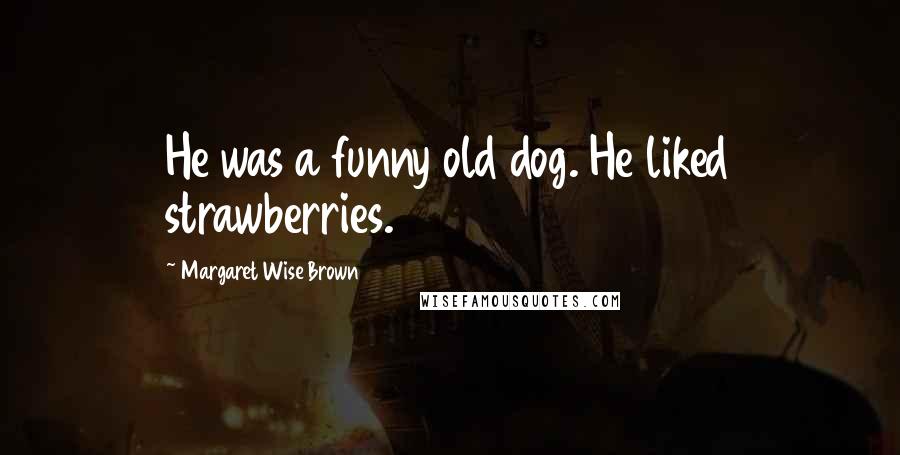 Margaret Wise Brown Quotes: He was a funny old dog. He liked strawberries.