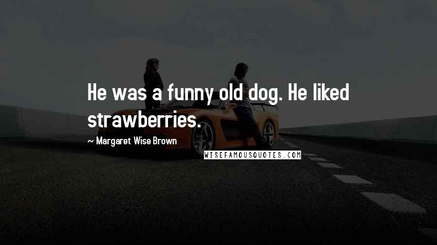 Margaret Wise Brown Quotes: He was a funny old dog. He liked strawberries.