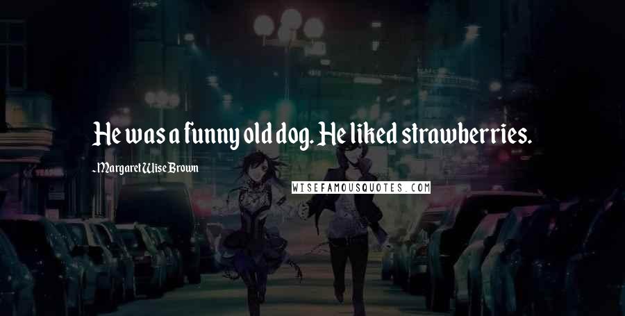 Margaret Wise Brown Quotes: He was a funny old dog. He liked strawberries.