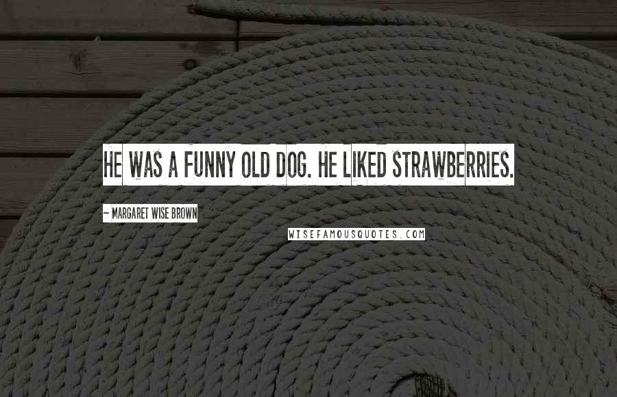 Margaret Wise Brown Quotes: He was a funny old dog. He liked strawberries.