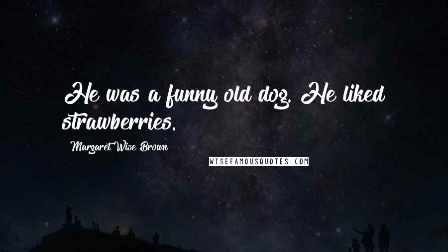 Margaret Wise Brown Quotes: He was a funny old dog. He liked strawberries.