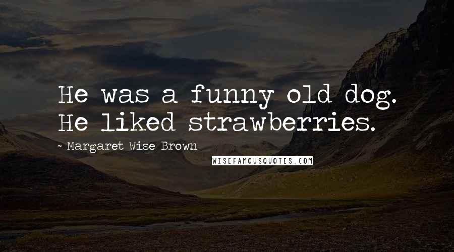 Margaret Wise Brown Quotes: He was a funny old dog. He liked strawberries.