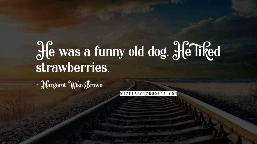 Margaret Wise Brown Quotes: He was a funny old dog. He liked strawberries.