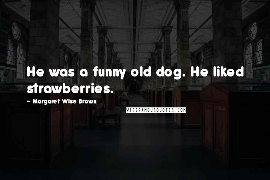 Margaret Wise Brown Quotes: He was a funny old dog. He liked strawberries.