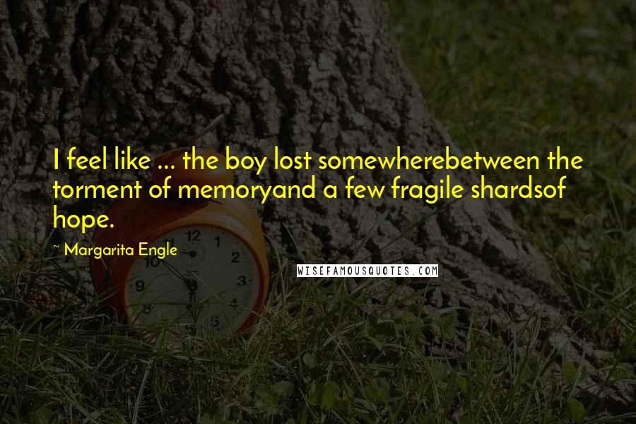 Margarita Engle Quotes: I feel like ... the boy lost somewherebetween the torment of memoryand a few fragile shardsof hope.