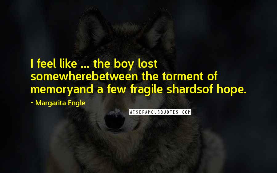Margarita Engle Quotes: I feel like ... the boy lost somewherebetween the torment of memoryand a few fragile shardsof hope.