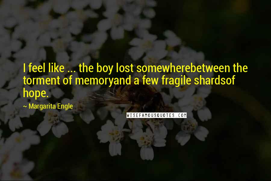 Margarita Engle Quotes: I feel like ... the boy lost somewherebetween the torment of memoryand a few fragile shardsof hope.