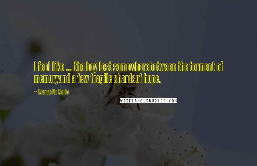 Margarita Engle Quotes: I feel like ... the boy lost somewherebetween the torment of memoryand a few fragile shardsof hope.
