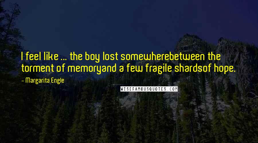 Margarita Engle Quotes: I feel like ... the boy lost somewherebetween the torment of memoryand a few fragile shardsof hope.