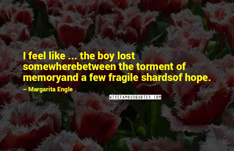 Margarita Engle Quotes: I feel like ... the boy lost somewherebetween the torment of memoryand a few fragile shardsof hope.