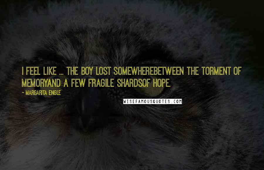 Margarita Engle Quotes: I feel like ... the boy lost somewherebetween the torment of memoryand a few fragile shardsof hope.