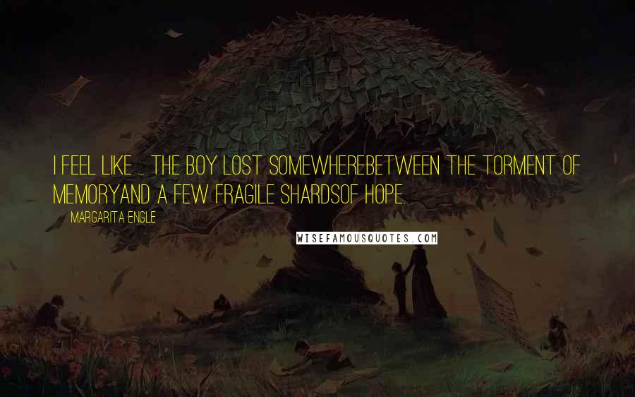 Margarita Engle Quotes: I feel like ... the boy lost somewherebetween the torment of memoryand a few fragile shardsof hope.
