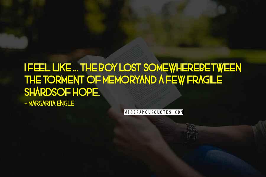Margarita Engle Quotes: I feel like ... the boy lost somewherebetween the torment of memoryand a few fragile shardsof hope.