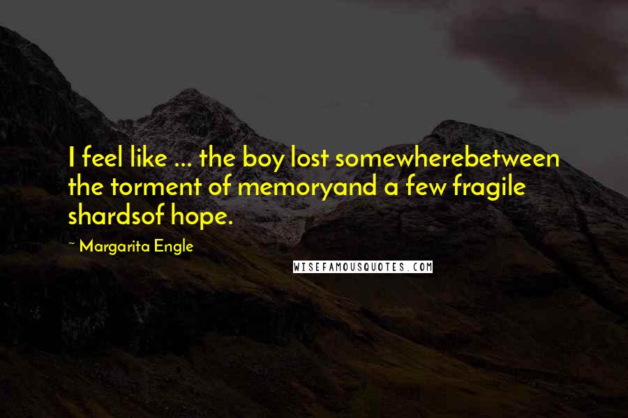 Margarita Engle Quotes: I feel like ... the boy lost somewherebetween the torment of memoryand a few fragile shardsof hope.
