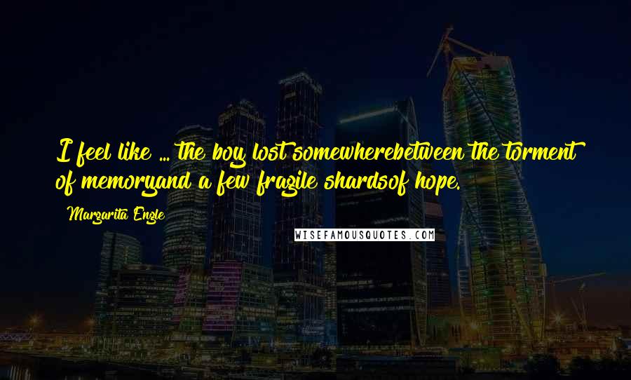 Margarita Engle Quotes: I feel like ... the boy lost somewherebetween the torment of memoryand a few fragile shardsof hope.