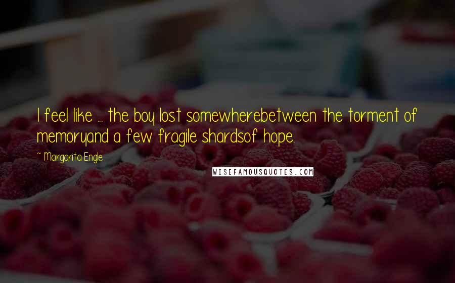 Margarita Engle Quotes: I feel like ... the boy lost somewherebetween the torment of memoryand a few fragile shardsof hope.