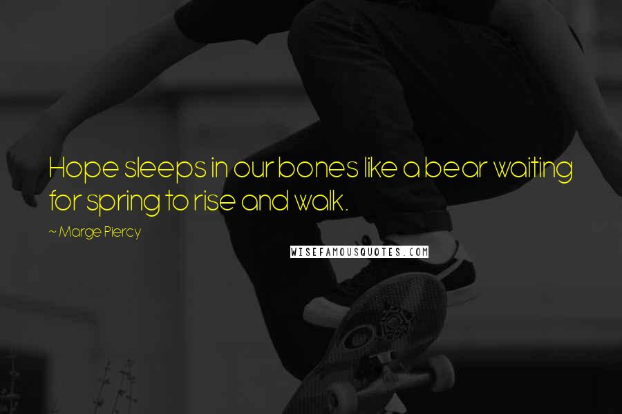 Marge Piercy Quotes: Hope sleeps in our bones like a bear waiting for spring to rise and walk.