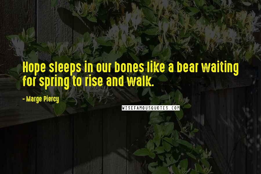 Marge Piercy Quotes: Hope sleeps in our bones like a bear waiting for spring to rise and walk.
