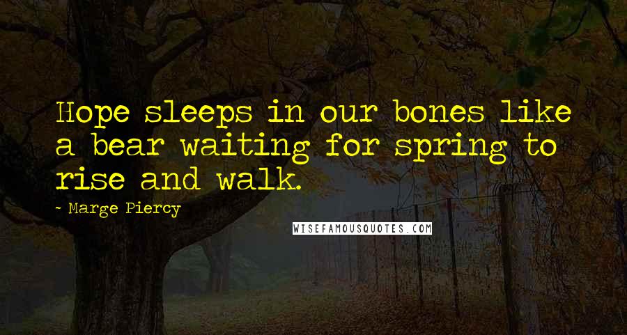 Marge Piercy Quotes: Hope sleeps in our bones like a bear waiting for spring to rise and walk.