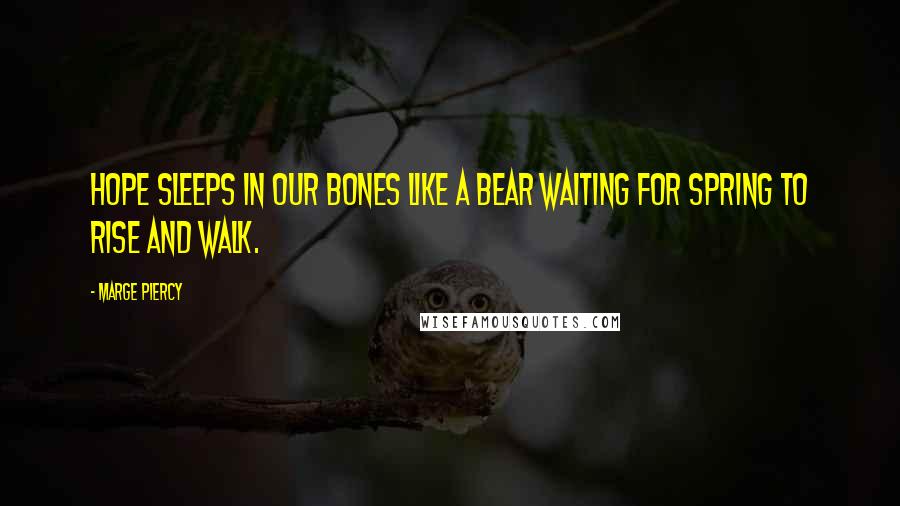 Marge Piercy Quotes: Hope sleeps in our bones like a bear waiting for spring to rise and walk.