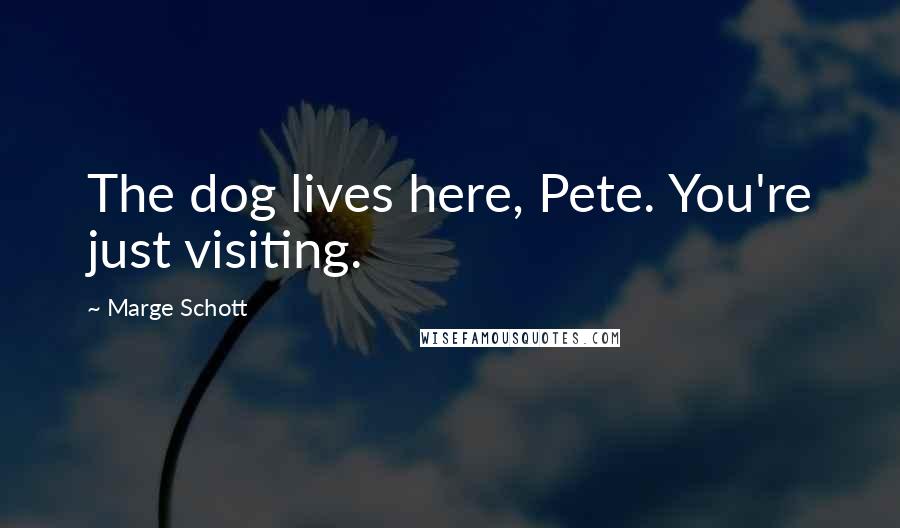 Marge Schott Quotes: The dog lives here, Pete. You're just visiting.