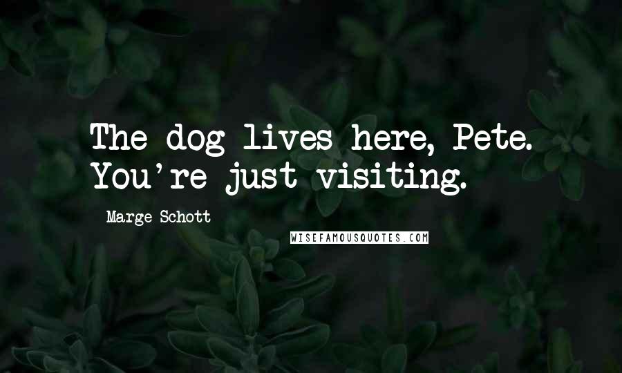 Marge Schott Quotes: The dog lives here, Pete. You're just visiting.