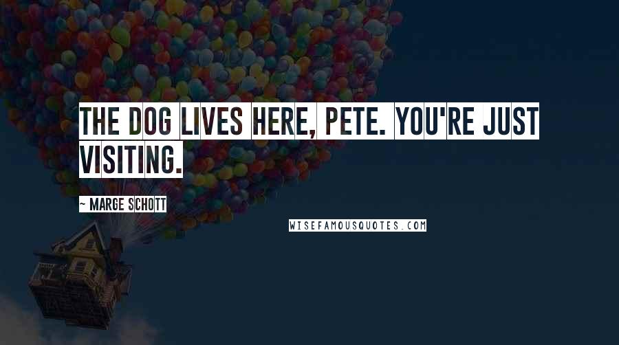 Marge Schott Quotes: The dog lives here, Pete. You're just visiting.