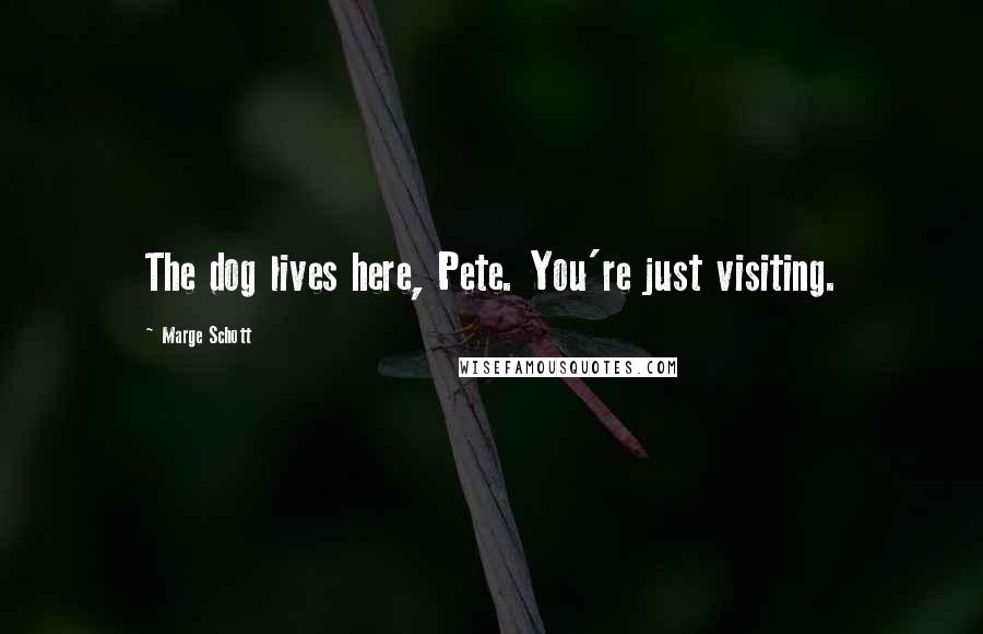 Marge Schott Quotes: The dog lives here, Pete. You're just visiting.