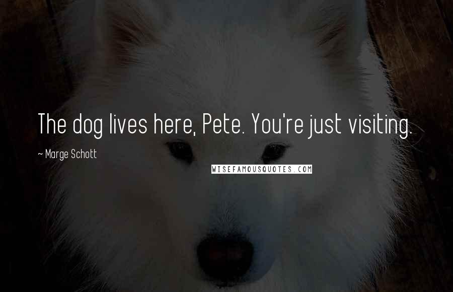 Marge Schott Quotes: The dog lives here, Pete. You're just visiting.