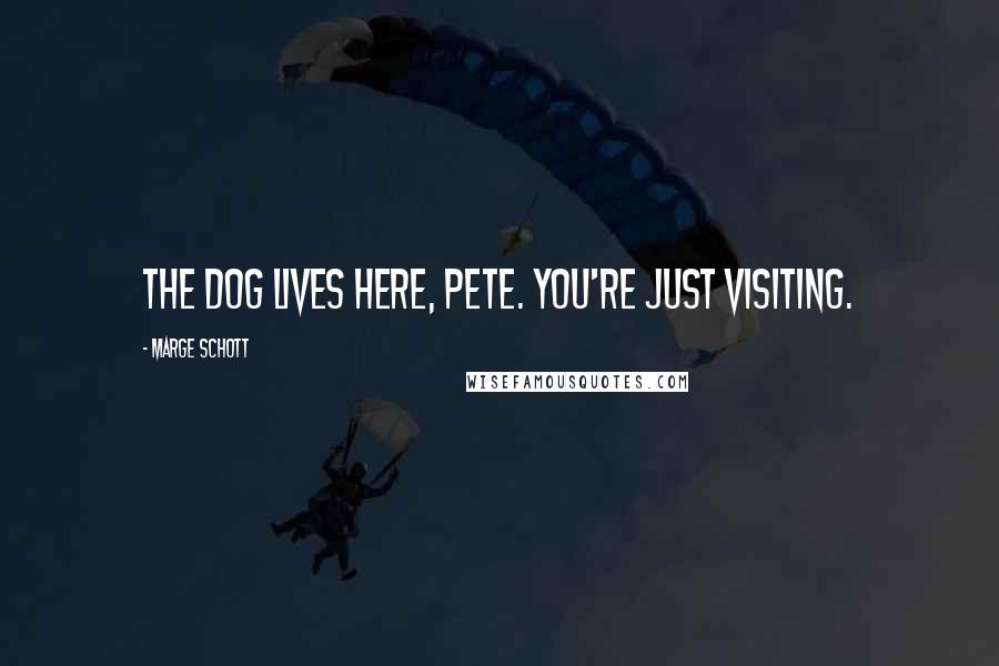 Marge Schott Quotes: The dog lives here, Pete. You're just visiting.