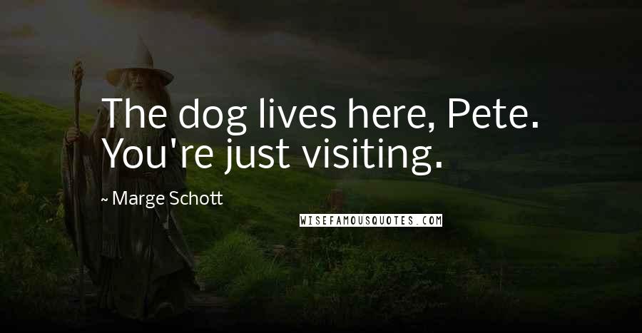 Marge Schott Quotes: The dog lives here, Pete. You're just visiting.