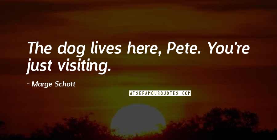 Marge Schott Quotes: The dog lives here, Pete. You're just visiting.