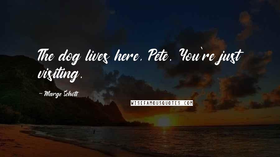 Marge Schott Quotes: The dog lives here, Pete. You're just visiting.