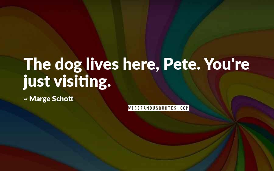 Marge Schott Quotes: The dog lives here, Pete. You're just visiting.