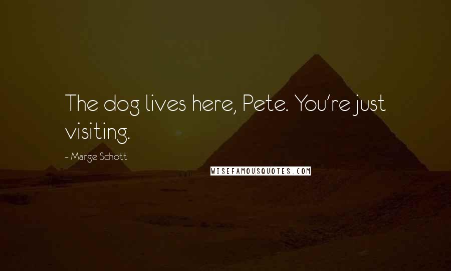 Marge Schott Quotes: The dog lives here, Pete. You're just visiting.