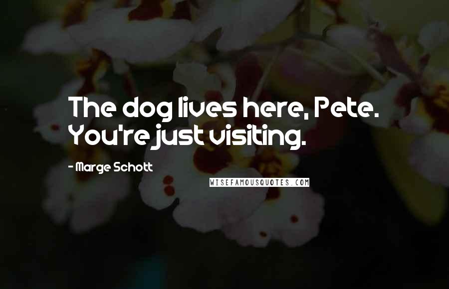 Marge Schott Quotes: The dog lives here, Pete. You're just visiting.