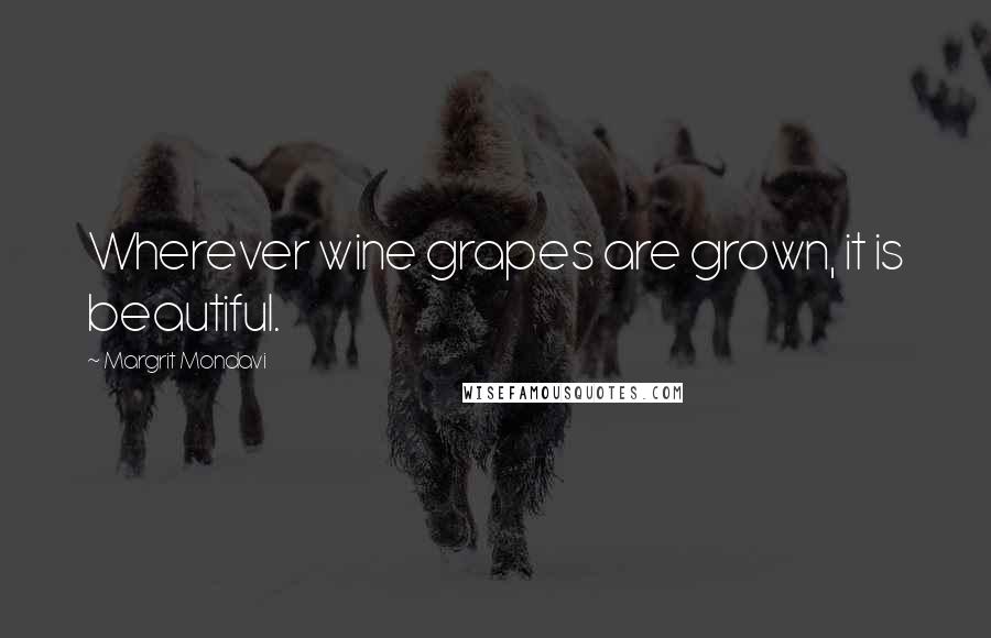 Margrit Mondavi Quotes: Wherever wine grapes are grown, it is beautiful.