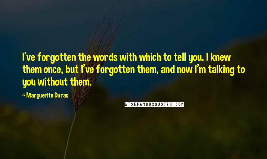 Marguerite Duras Quotes: I've forgotten the words with which to tell you. I knew them once, but I've forgotten them, and now I'm talking to you without them.
