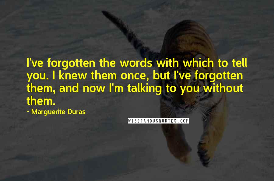 Marguerite Duras Quotes: I've forgotten the words with which to tell you. I knew them once, but I've forgotten them, and now I'm talking to you without them.
