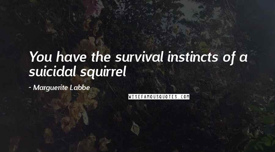 Marguerite Labbe Quotes: You have the survival instincts of a suicidal squirrel