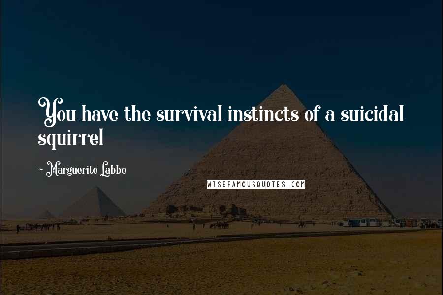 Marguerite Labbe Quotes: You have the survival instincts of a suicidal squirrel