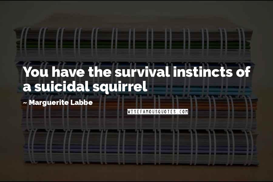 Marguerite Labbe Quotes: You have the survival instincts of a suicidal squirrel