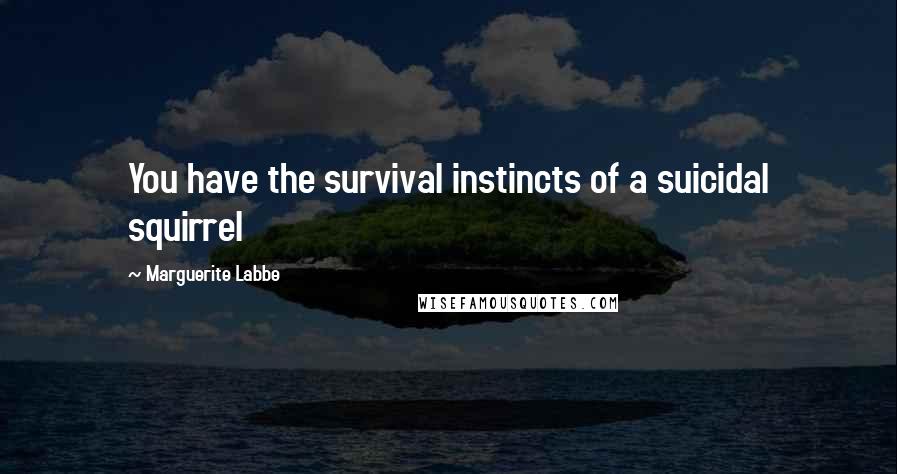 Marguerite Labbe Quotes: You have the survival instincts of a suicidal squirrel
