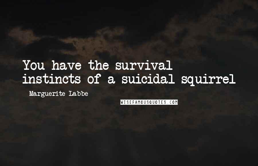 Marguerite Labbe Quotes: You have the survival instincts of a suicidal squirrel