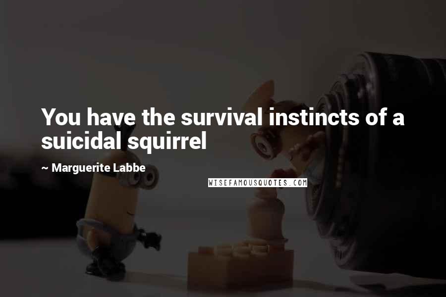 Marguerite Labbe Quotes: You have the survival instincts of a suicidal squirrel