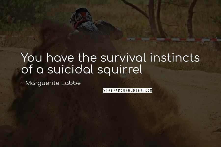 Marguerite Labbe Quotes: You have the survival instincts of a suicidal squirrel