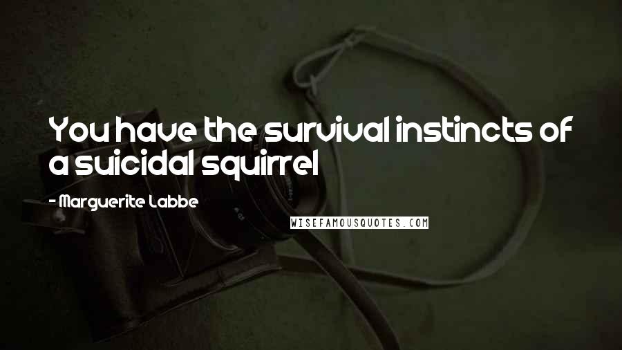 Marguerite Labbe Quotes: You have the survival instincts of a suicidal squirrel