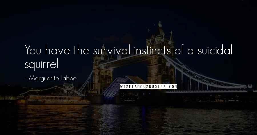 Marguerite Labbe Quotes: You have the survival instincts of a suicidal squirrel