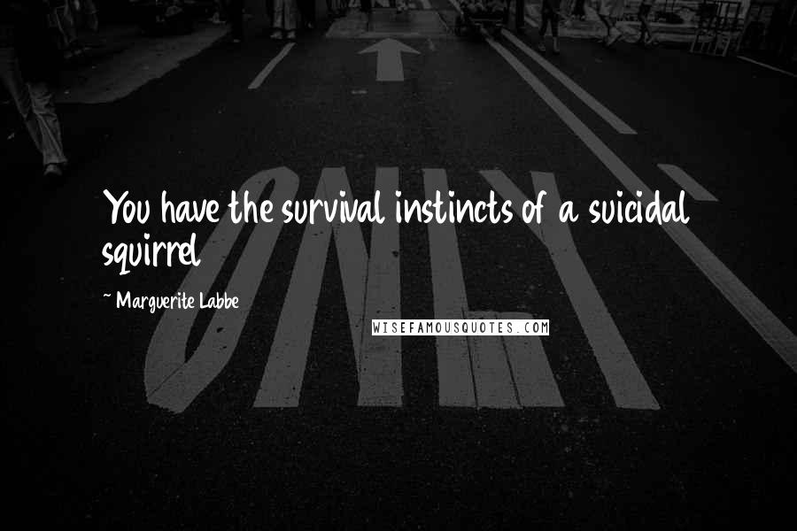 Marguerite Labbe Quotes: You have the survival instincts of a suicidal squirrel